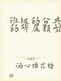 班级的公共小0的所属类型