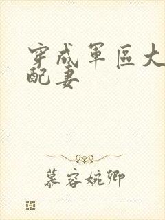 穿成军区大佬女配妻