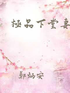 极品下堂妻
