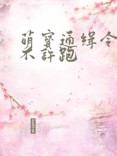 萌宝通缉令妈味不许跑