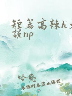 短篇高辣h文小说np