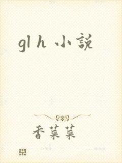 gl h 小说