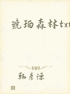 琥珀森林txt