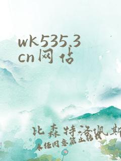 wk535.3cn网站
