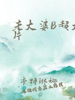 老大婆B超大图片