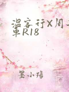 温客行X周子舒车R18