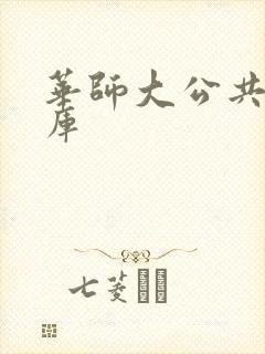 华师大公共数据库