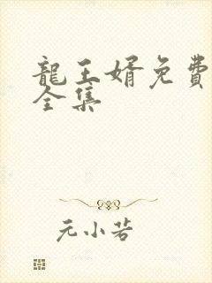 龙王婿免费完结全集