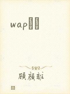 wapС˵