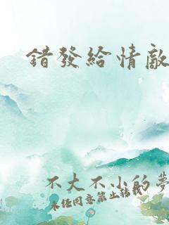 错发给情敌之后