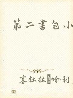 第二书包小说网