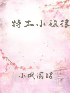 特工小姐很逍遥