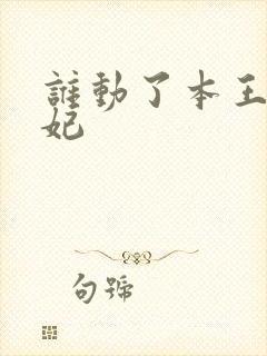 谁动了本王的悍妃