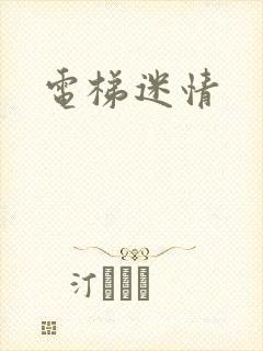 电梯迷情
