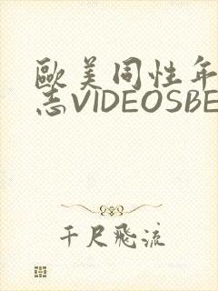 欧美同性年轻同志VIDEOSBEST