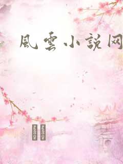 风云小说网