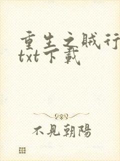 重生之贼行天下txt下载