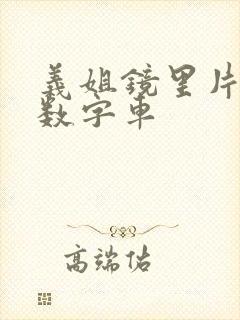 义姐镜里片微博数字车