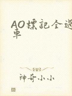 AO标记全过程车