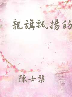 龙旗飘扬的舰队