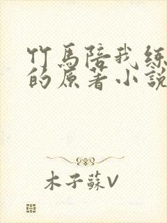 竹马陪我练技术的原著小说