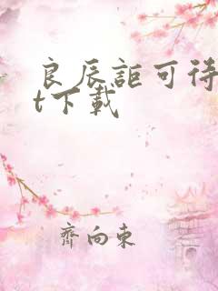 良辰讵可待txt下载