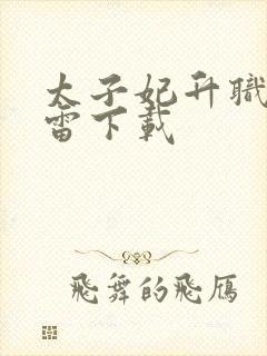 太子妃升职记迅雷下载