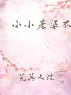 小小老婆不受宠