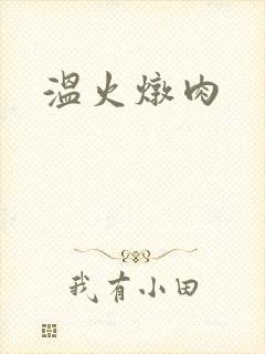 温火炖肉
