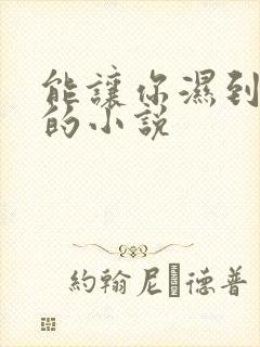 能让你湿到不行的小说