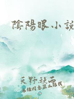 阴阳眼小说