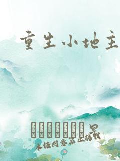 重生小地主u8