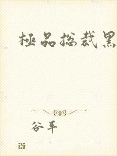 极品总裁黑道妻