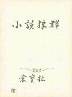 小说狼群