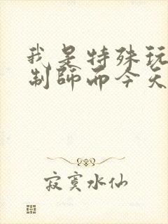 我是特殊玩具定制师而今天的客户