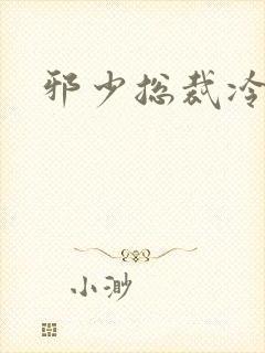 邪少总裁冷心秘