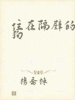 住在隔壁的小狼狗