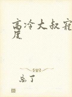 高冷大叔宠妻无度