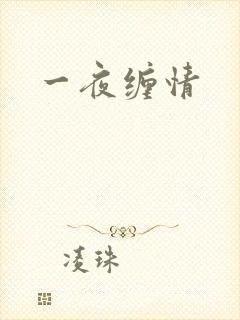 一夜缠情