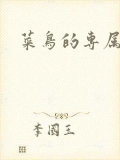 菜鸟的专属大神