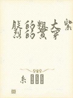 朕的粗大紫红猛烈的贯穿