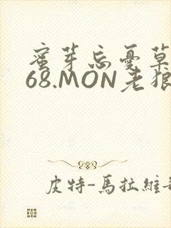 蜜芽忘忧草.768.MON老狼