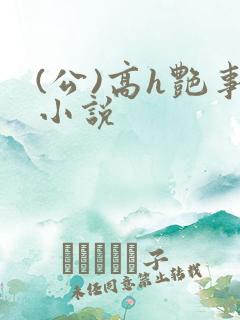 (公)高h艳事小说