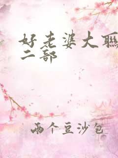 好老婆大联盟第二部