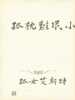 孤枕难眠小说