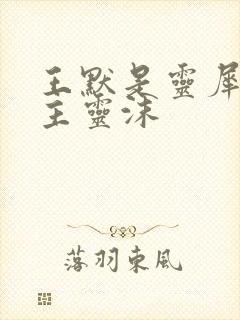 王默是灵犀阁公主灵沫