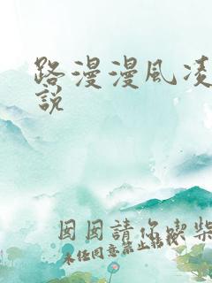 路漫漫风凌轩小说