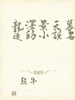 龙泽景天慕容青莲的小说名字