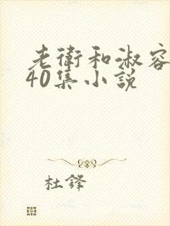 老卫和淑容1-40集小说