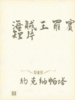 海贼王罗宾被h短片